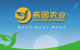 今年的苗木订单怎么采...要精品还得选燕园
