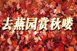 秋色可赏，相约燕园看彩叶；秋果可品，同去果园摘苹果！