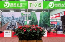 继往开来：做好精品苗木，秉承精致服务，绿博会后再接再厉！