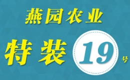 激流勇进，再聚昌邑