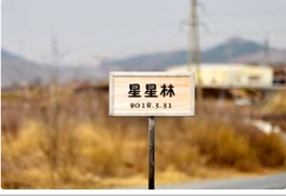 多彩燕园迎来星星林