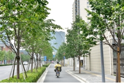上海金桐力大道，就在闸北区万荣路！