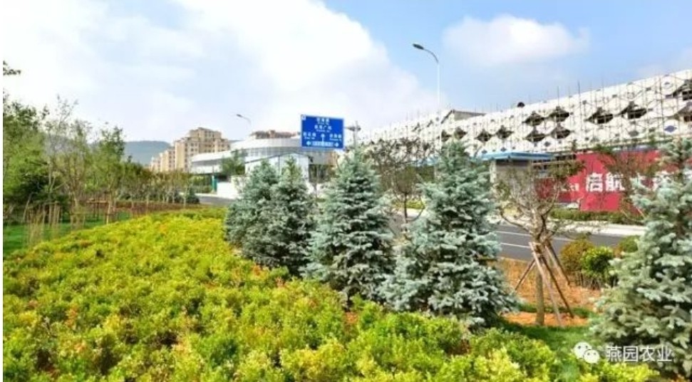 微信截图_20240731193710.jpg