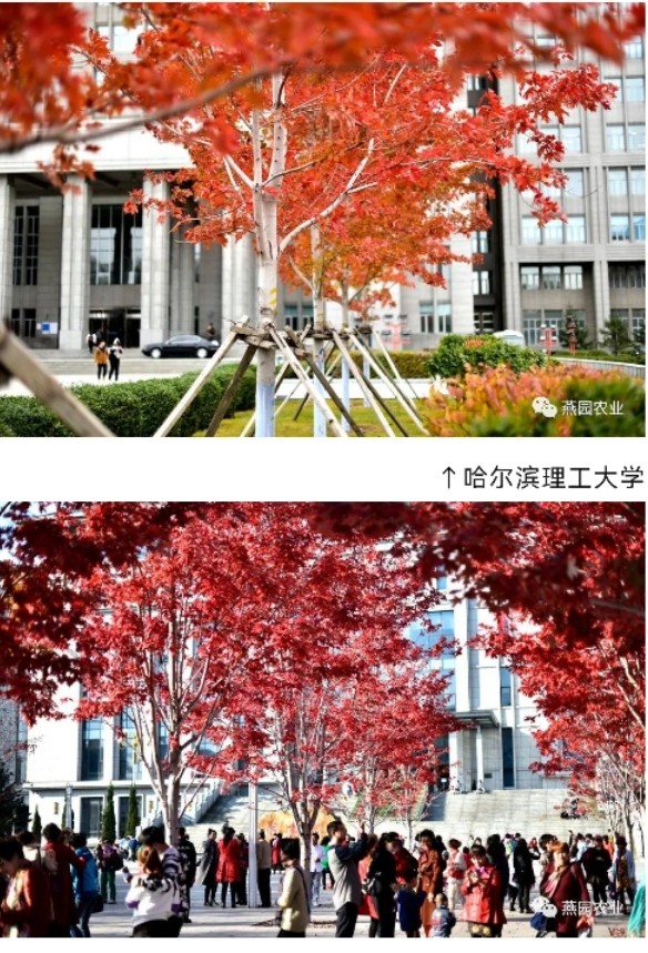 微信截图_20240731195320.jpg