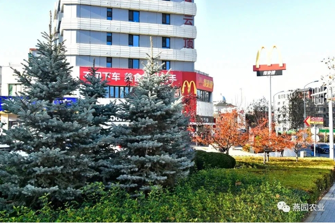 微信截图_20240812120051.jpg