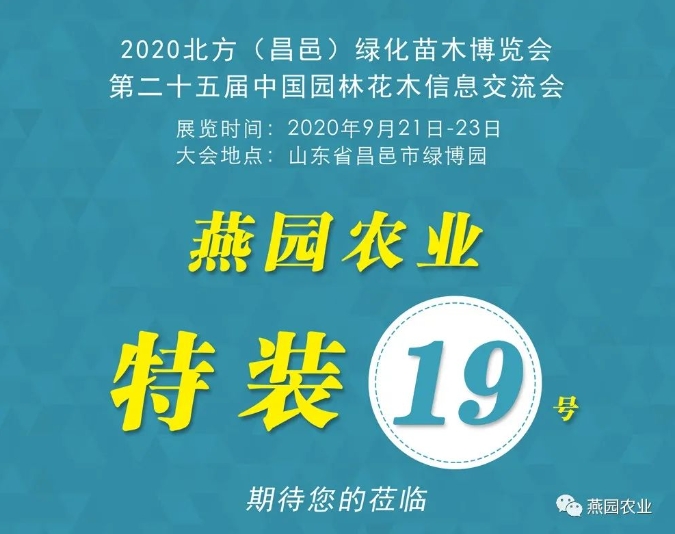 微信截图_20240812180631.jpg