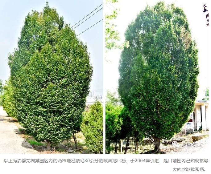 微信截图_20240823145236.jpg