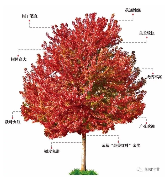微信截图_20240823171621.jpg