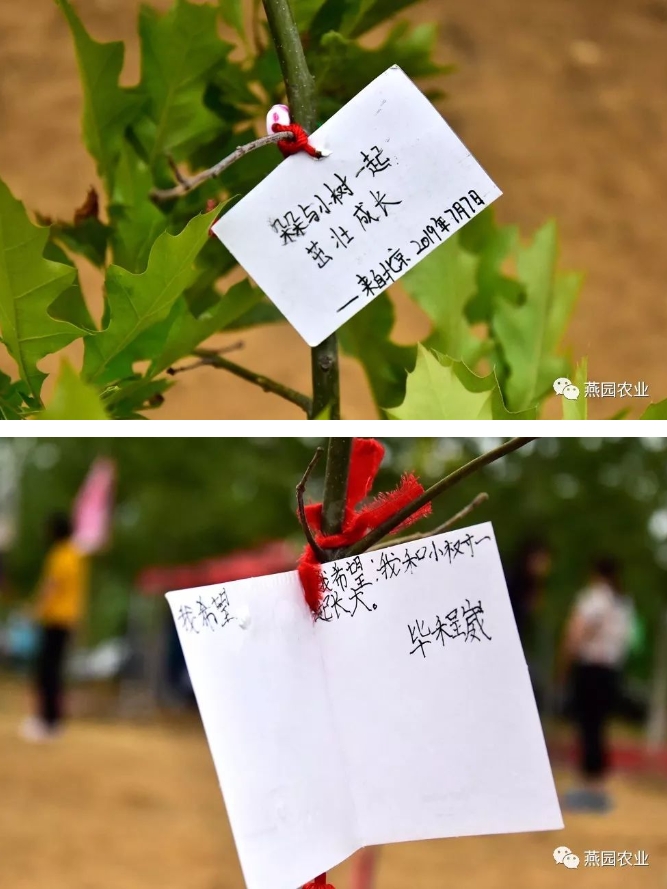 微信截图_20240823180229.jpg
