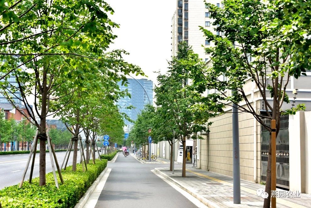 微信图片_20240823183327.jpg