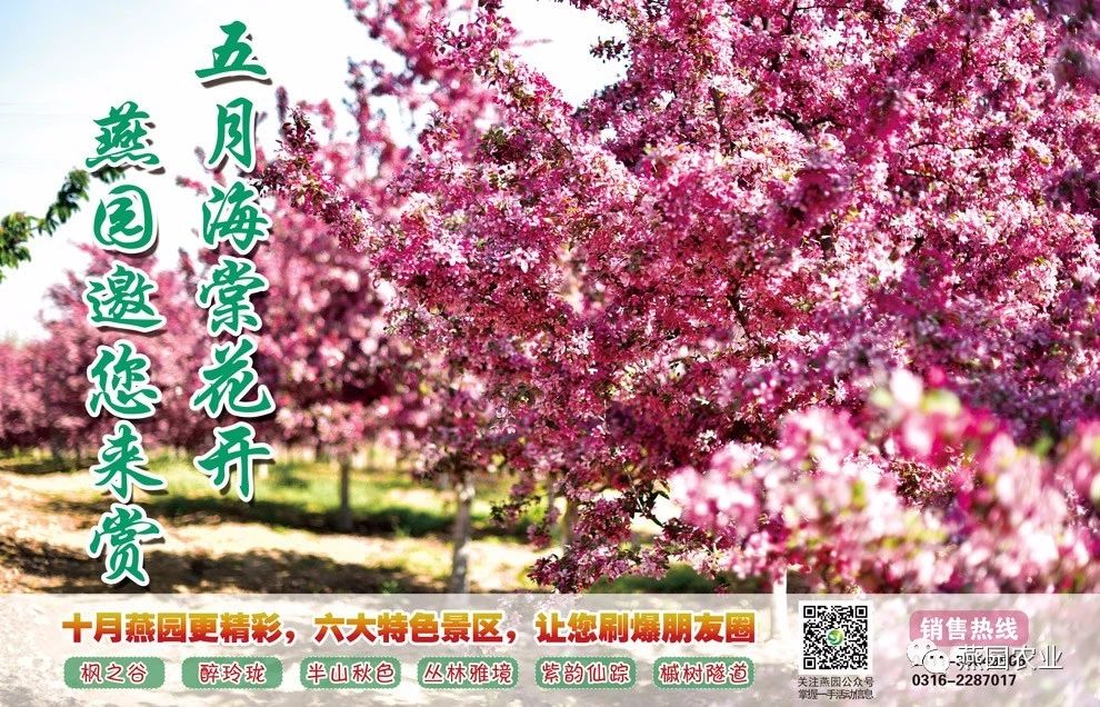 微信图片_20240826134320.jpg