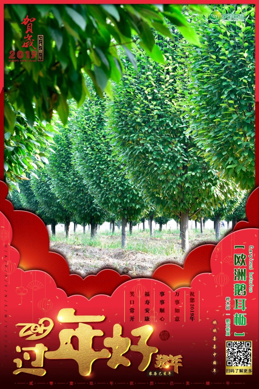 微信图片_20240902125327.jpg