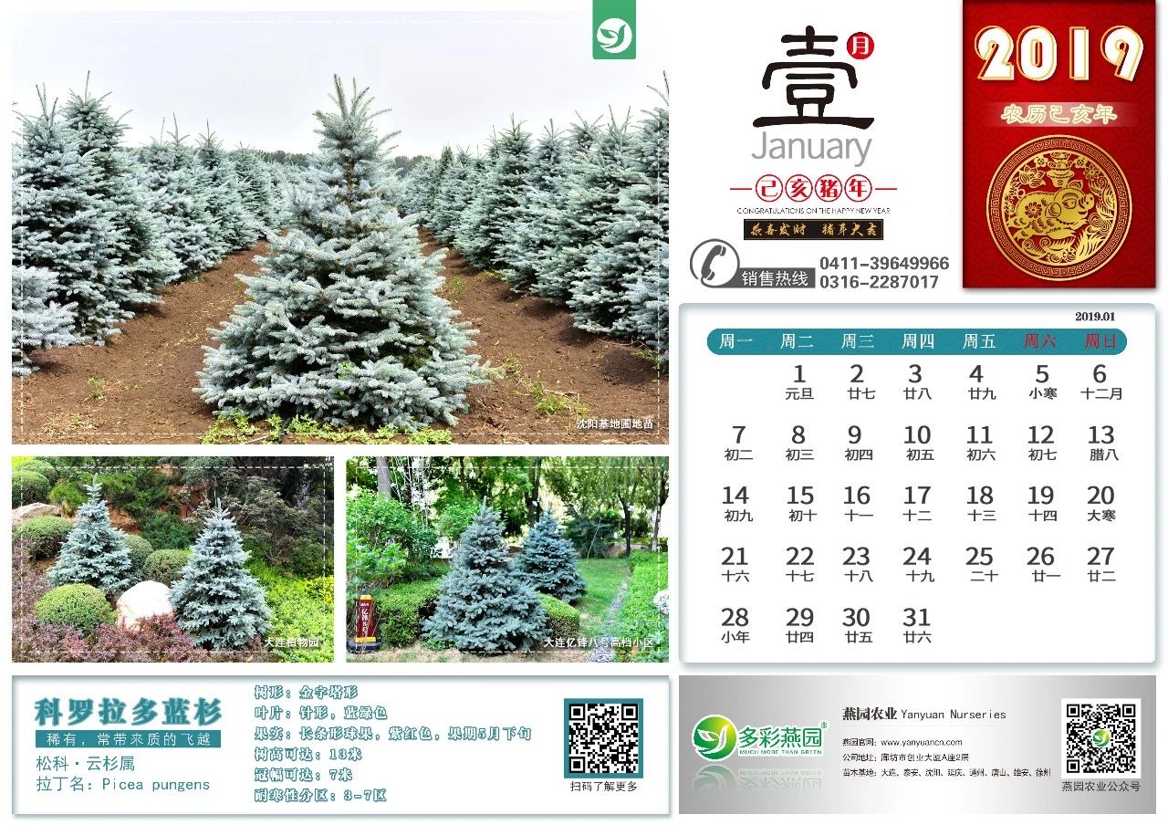 微信图片_20240902125644.jpg