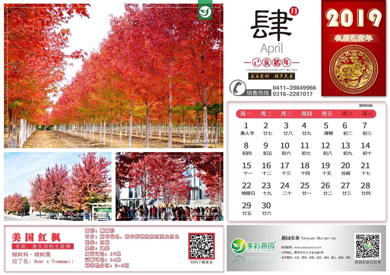 微信图片_20240902125657.jpg