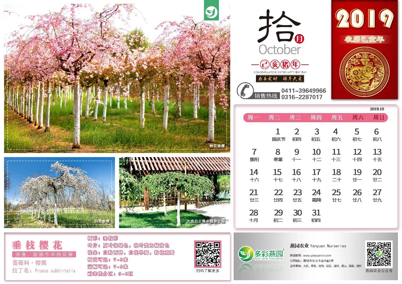 微信图片_20240902125720.jpg