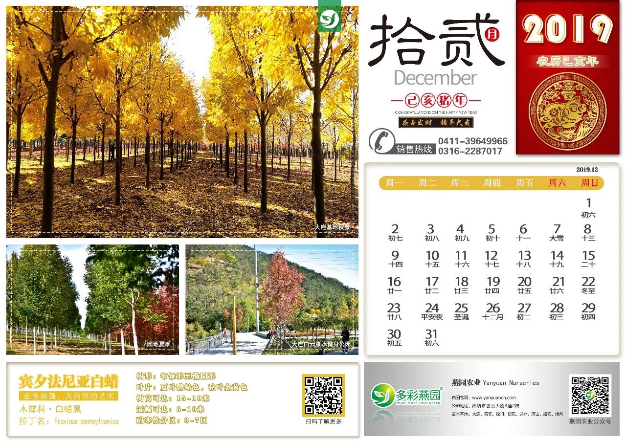 微信图片_20240902125728.jpg