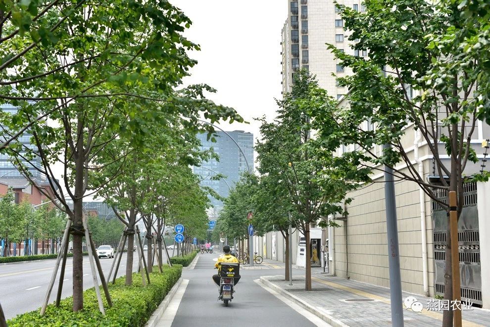 微信图片_20240902143859.jpg