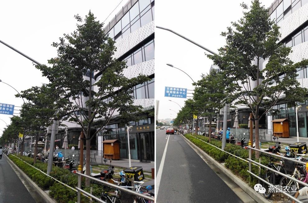 微信图片_20240902143908.jpg