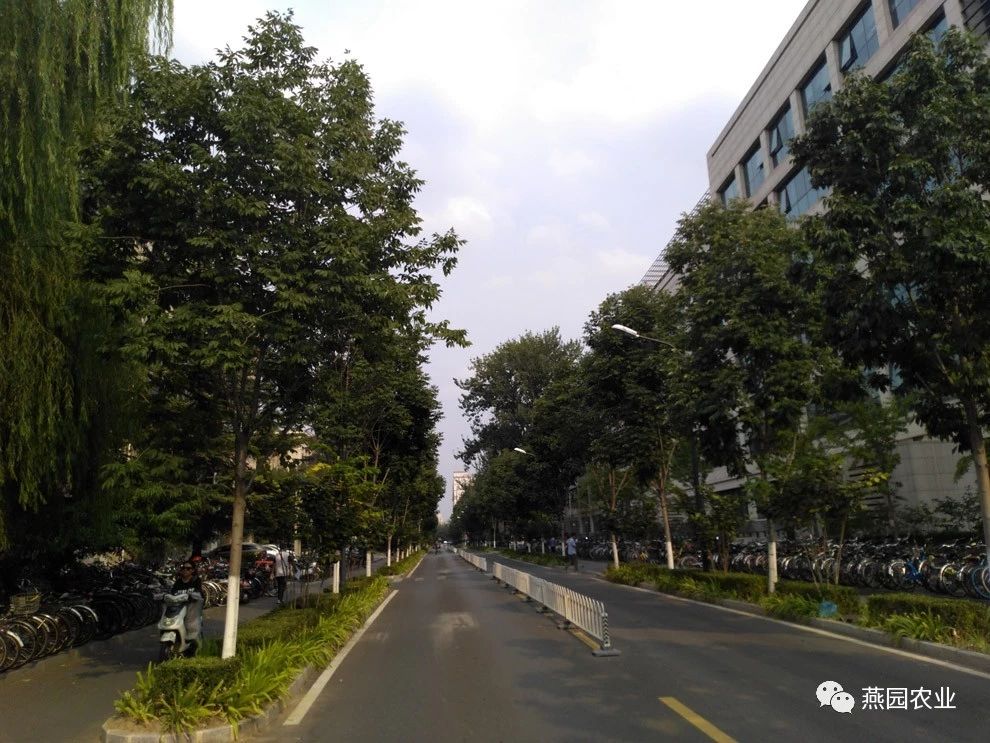 微信图片_20240902144336.jpg