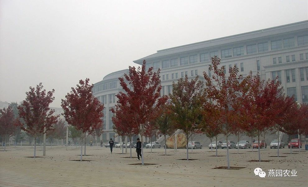微信图片_20240902152253.jpg