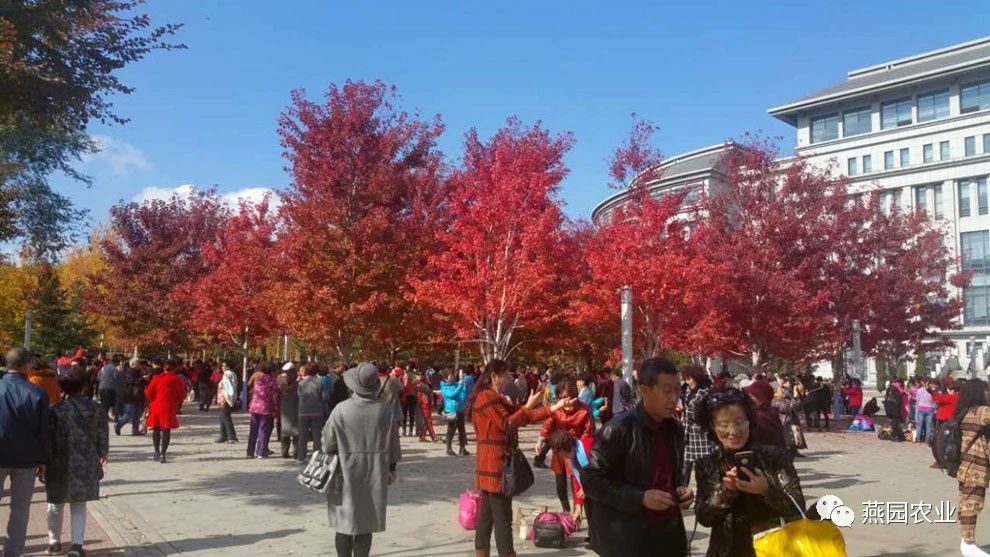 微信图片_20240902152308.jpg