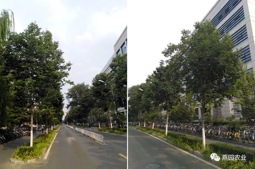 微信图片_20240902181104.jpg