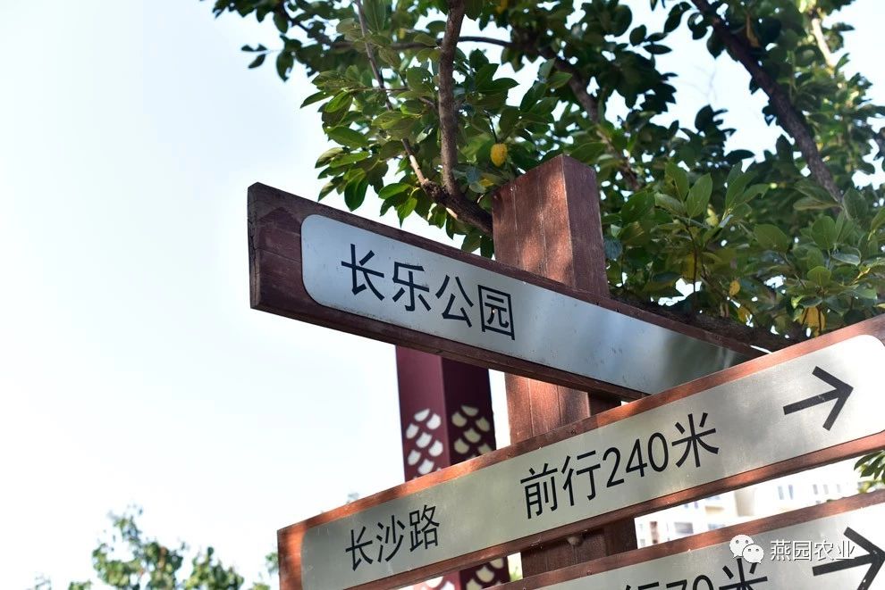 微信图片_20240904194801.jpg