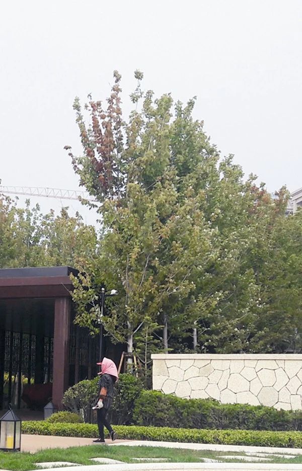 微信图片_20240905125906.jpg