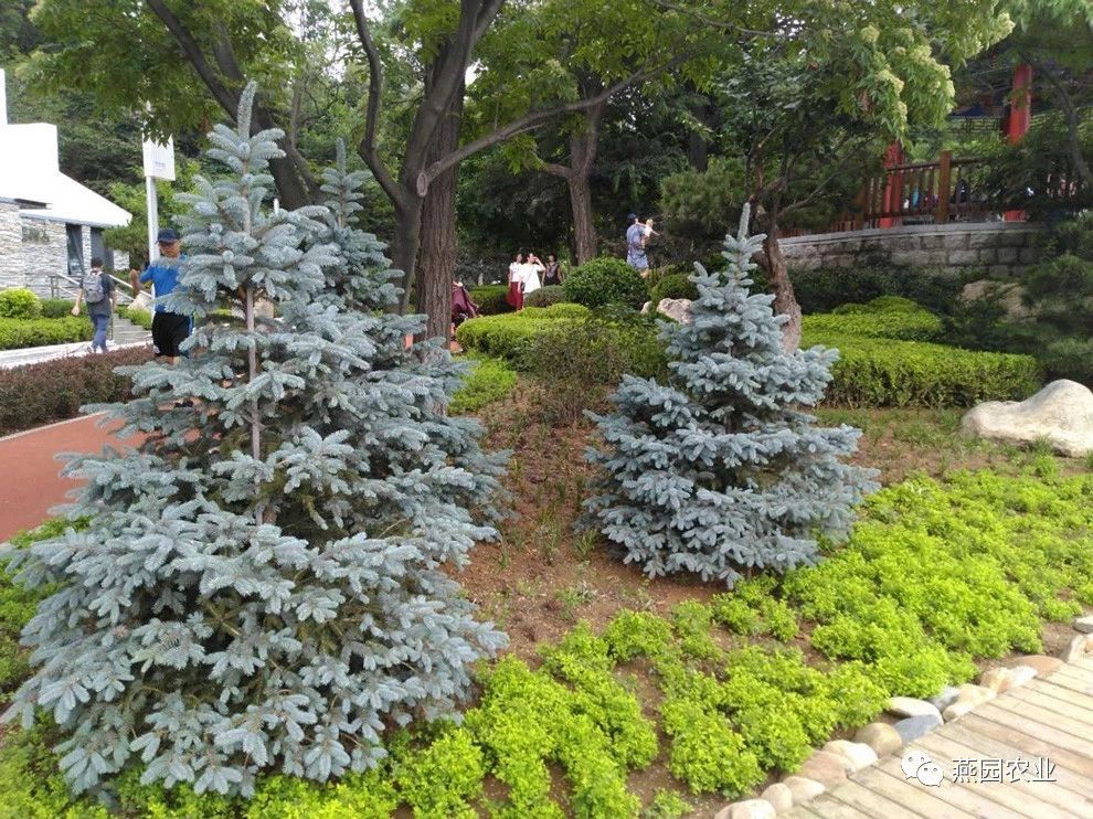 微信图片_20240905130329.jpg