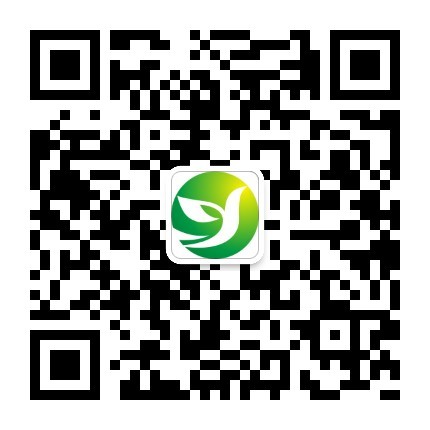 公众号
