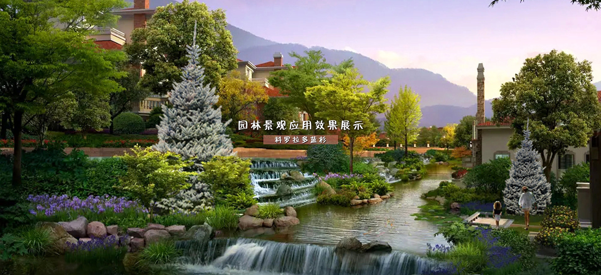 通栏图片